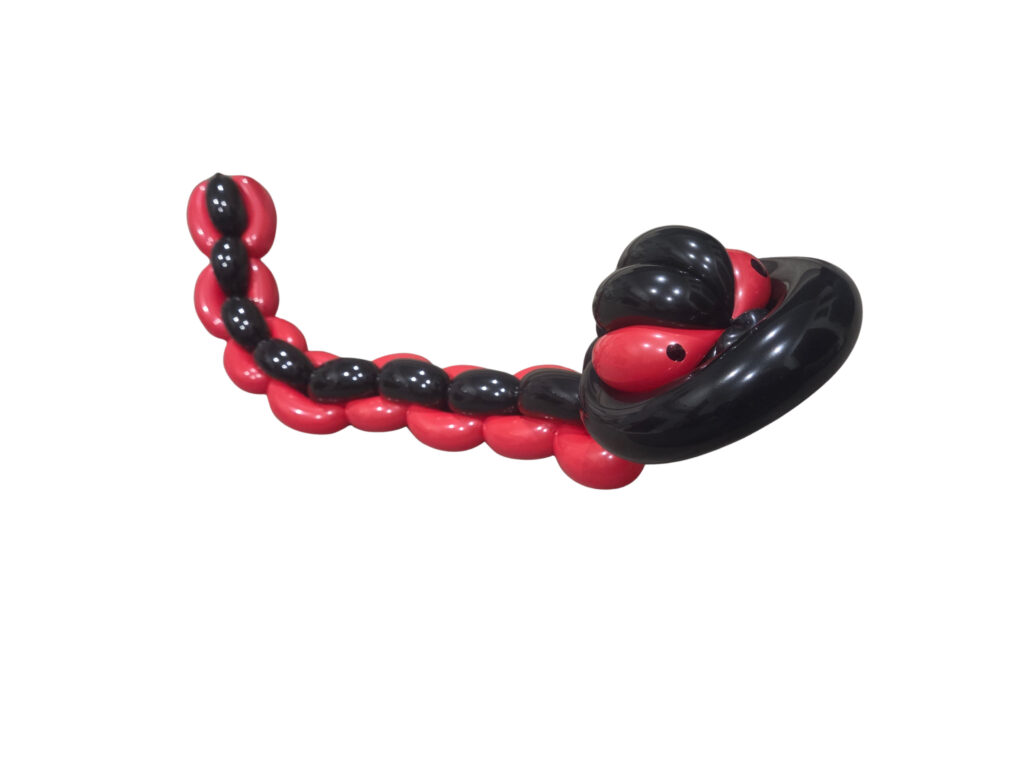 Adelaideballoon-man-snake