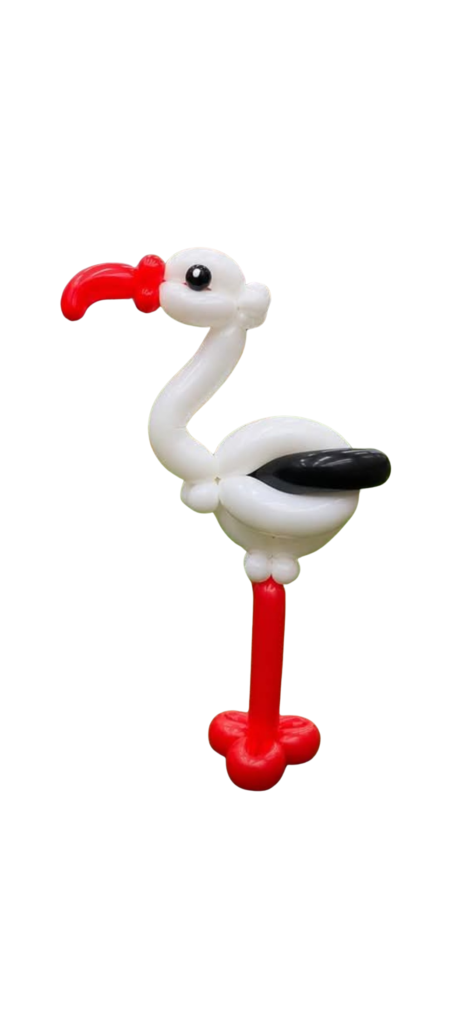 bird