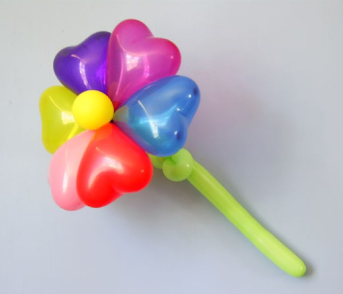 6 Petal Balloon Flower