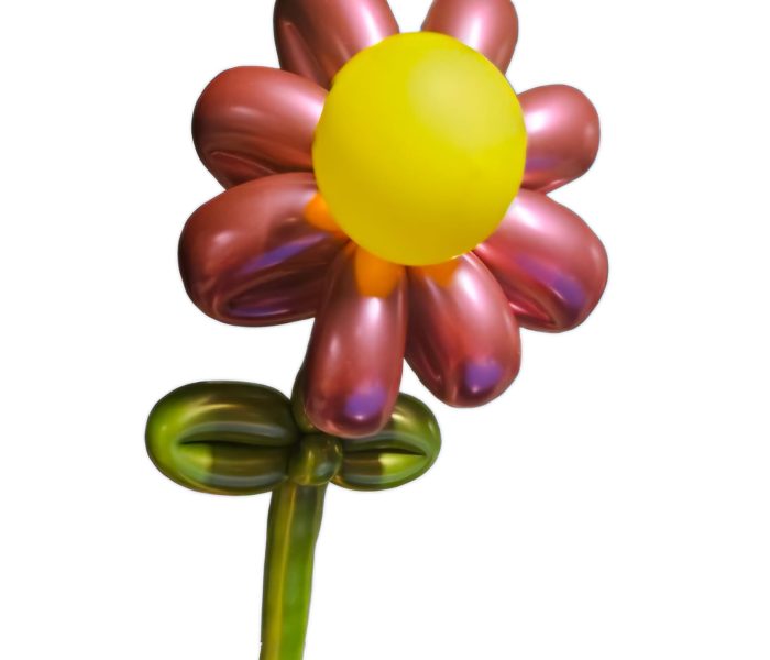 8 petal flower